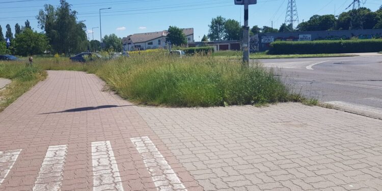 Wysokie trawy zagrażają bezpieczeństwu