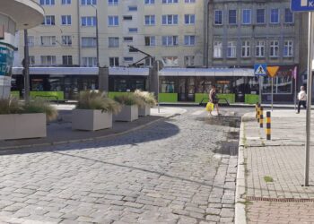 Donice przy ulicy Pocztowej- przeszkadzają czy nie?