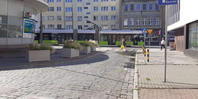 Donice przy ulicy Pocztowej- przeszkadzają czy nie?