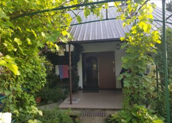 Dramat działkowców ROD Magnolia