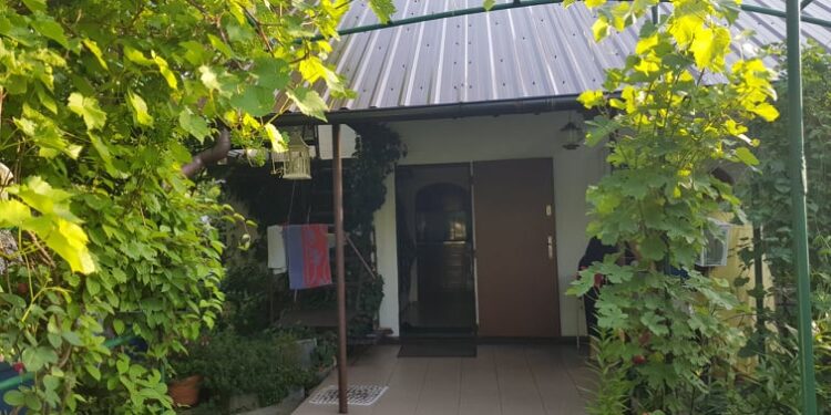 Dramat działkowców ROD Magnolia