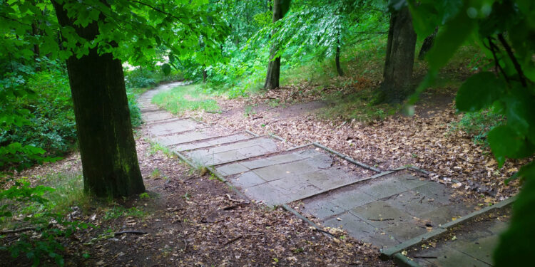 Niebezpieczne schody do remontu [ZDJĘCIA]