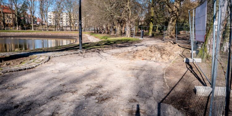 W Parku Róż prace przy stawie