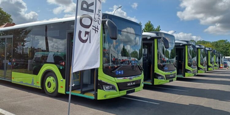 Przyjechały nowe MANy [GALERIA]