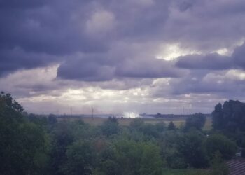 Palą się łąki nad Wartą