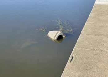 Ktoś wrzucił ciężki kosz do Warty. GRH apeluje o porządek [ZDJĘCIA]