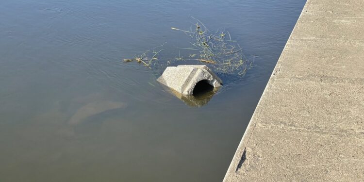 Ktoś wrzucił ciężki kosz do Warty. GRH apeluje o porządek [ZDJĘCIA]