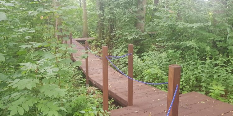 Inwestycje edukacyjno-rekreacyjne Nadleśnictwa Kłodawa