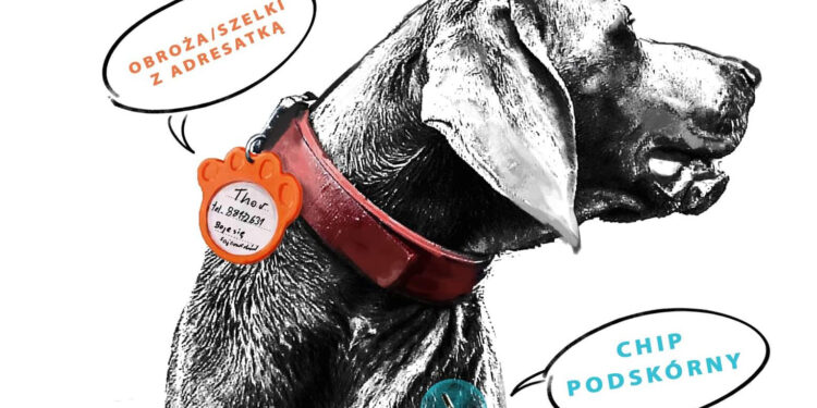 Bezpłatne adresatki dla zwierząt