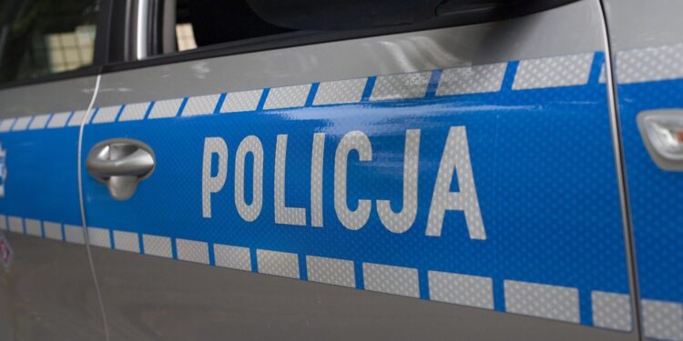 Zatrzymano pięciu handlarzy narkotyków z powiatu międzyrzeckiego