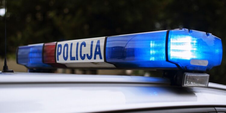 Zatrzymano pięciu handlarzy narkotyków z powiatu międzyrzeckiego