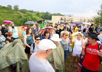 Szlakiem wojny, filozofii i sztuki