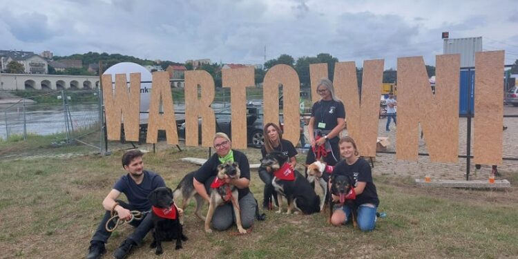 Adoptuj świadomie – akcja gorzowskiego schroniska