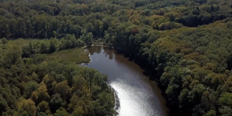 Lubuskie z drona – trwa konkurs „O złotą ważkę”