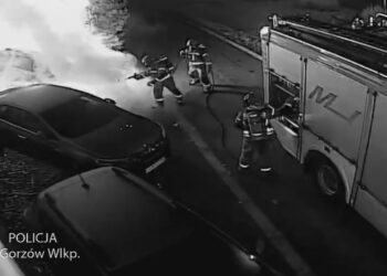 Podpalił auta, a pożar relacjonował w mediach społecznościowych