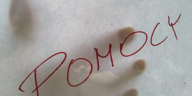 „Dobrze wiedzieć” – Młody człowiek w kryzysie – jak pomaga młodzieży i ich rodzicom Instytut „Para Familia”?