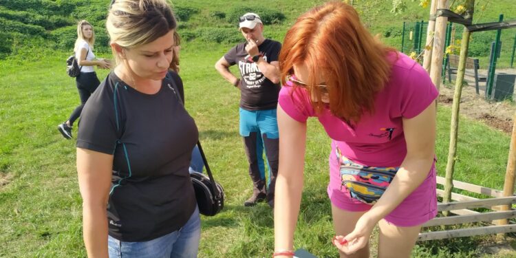 Czworonogu miej przy sobie swój adres…