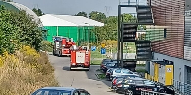 Zamieszanie przez czujnik dymu