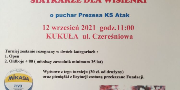 Turniej Charytatywny – siatkarze dla Wisienki