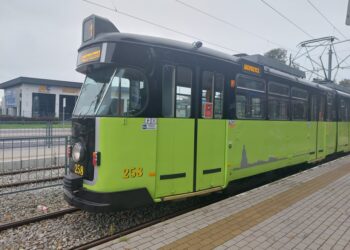 Dziś autobusami i tramwajami jeździmy za darmo