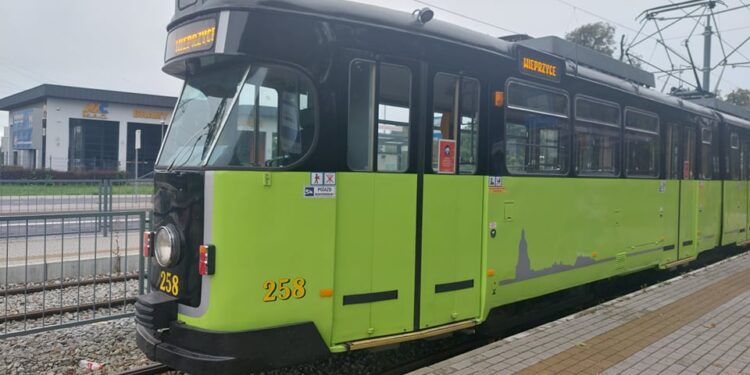 Dziś autobusami i tramwajami jeździmy za darmo