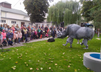 Nosorożec w teatralnym ogrodzie