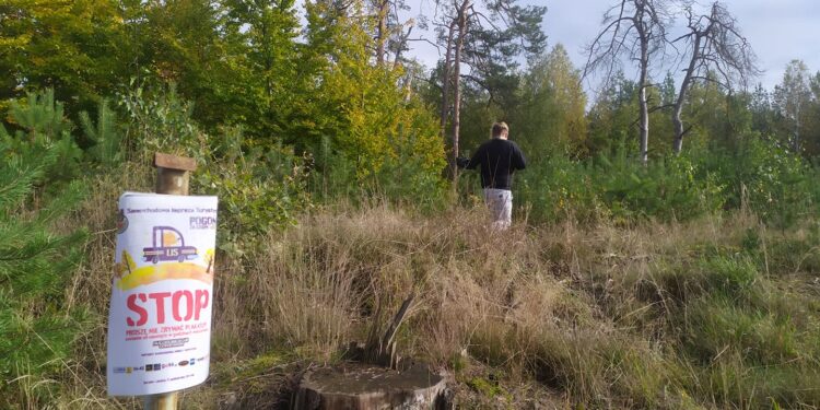 Uczestnicy rajdu szukali lisa