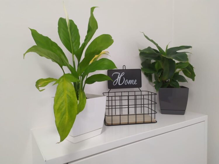 Nowy Dom Dziecka w Skwierzynie