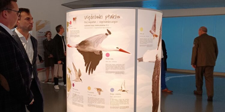 Multimedialny Ośrodek Muzealno-Edukacyjny w Słońsku