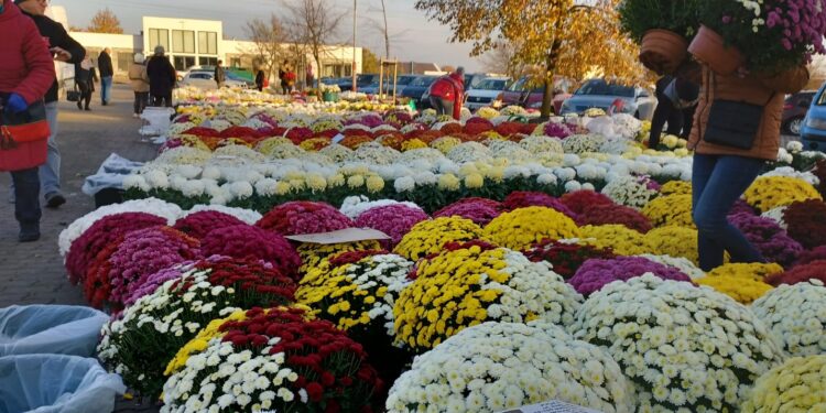 Porządki na cmentarzach