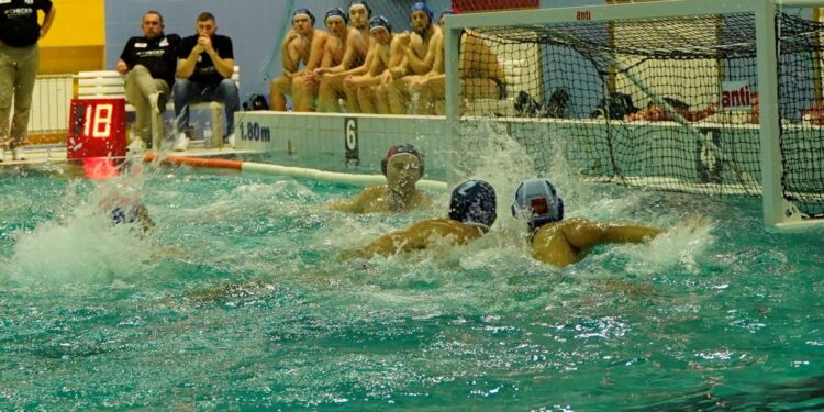 Planowy pogrom w wykonaniu Alfy