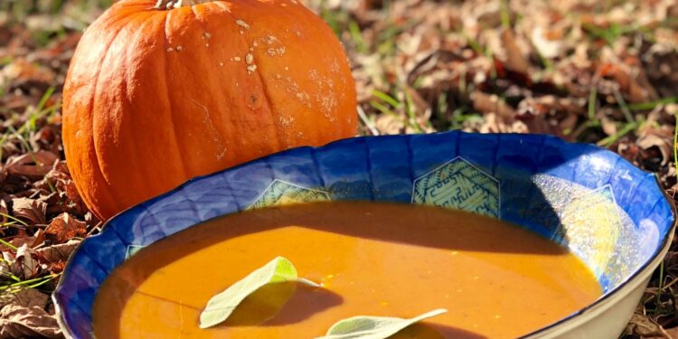 gorzowscy kucharze przygotują zupę dyniową!