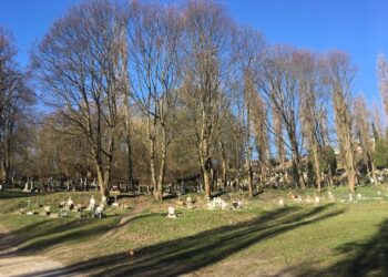 Społeczne sprzątanie nekropolii