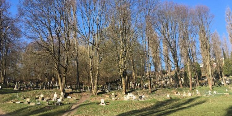 Społeczne sprzątanie nekropolii