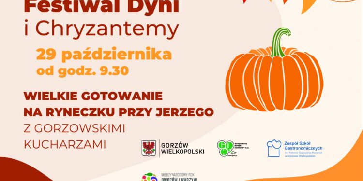 Festiwal Dyni i Chryzantem