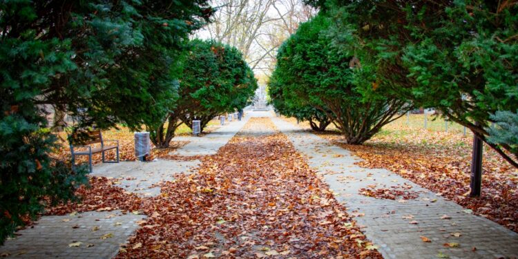 Park Wiosny Ludów – 21.11.2021 [ZDJĘCIA]