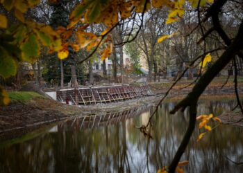 Park Wiosny Ludów – 21.11.2021 [ZDJĘCIA]