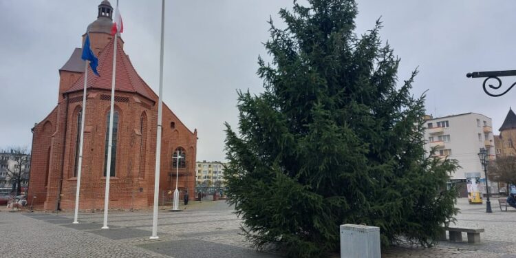 Świąteczne drzewko już jest