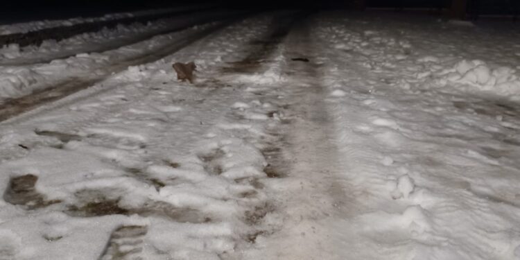 Fatalne warunki jazdy