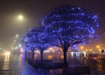 Świąteczne ozdoby na Starym Rynku [ZDJĘCIA]