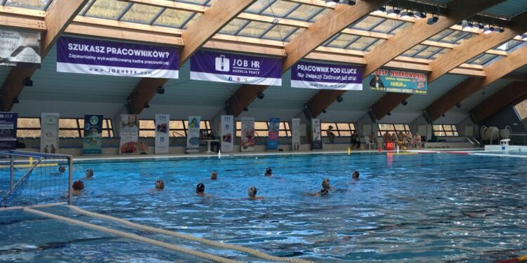 Alfa zagra o być albo nie być