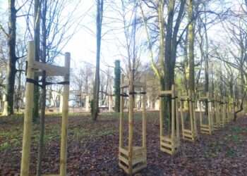 Miało być zielono, a zostały badyle