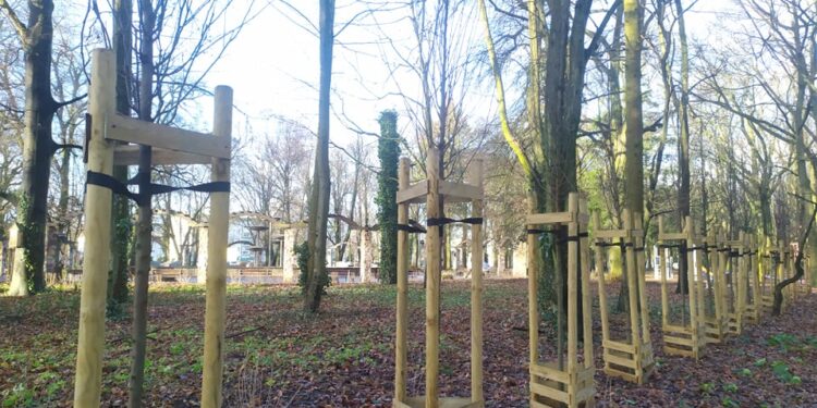 Miało być zielono, a zostały badyle