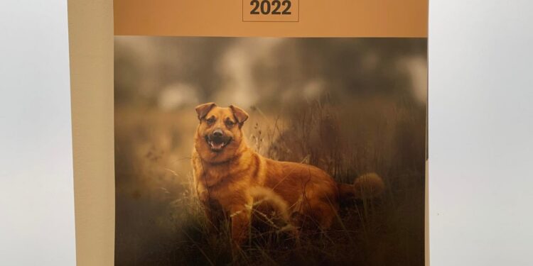 Kalendarz,  który pomaga psom