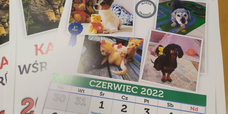 Urzędowe kalendarze dla Azorków