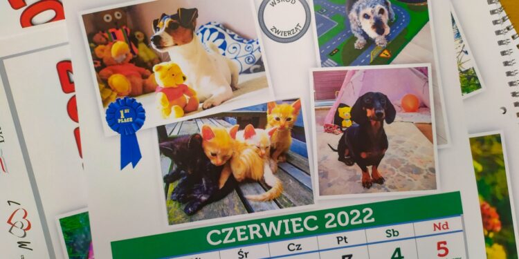 Urzędowe kalendarze dla Azorków