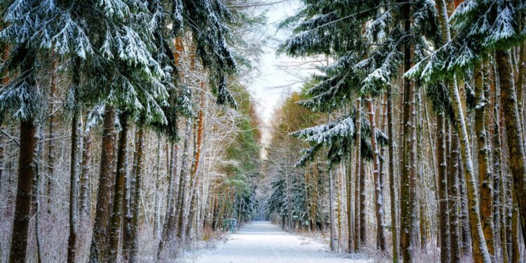 Spacer i odpoczynek. Świąteczne plany gorzowian