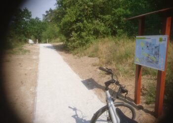 Poligon, dęby i legendy. ChodźMY na spacer w sobotę