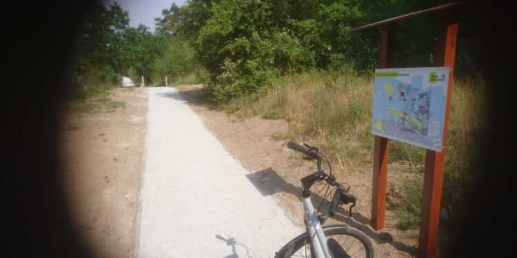 Poligon, dęby i legendy. ChodźMY na spacer w sobotę