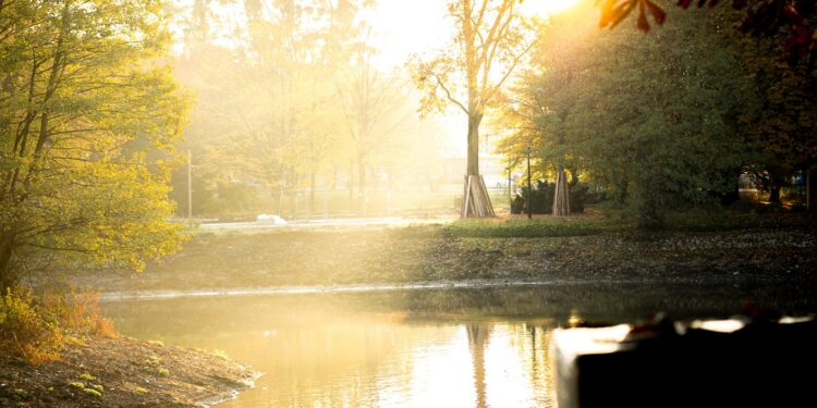 Przygotowania do odbioru parku Wiosny Ludów